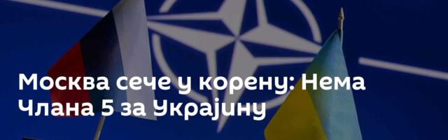 Москва сече у корену: Нема Члана 5 за Украјину