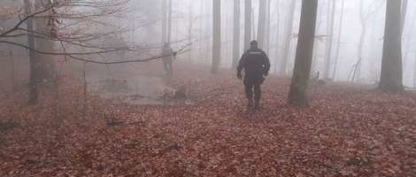 BiH: Na Kozari pronađena tijela i ostaci aviona za kojim se tragalo