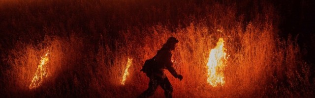 VATRA PROGUTALA ČOVEKA: Muškarac (65) stradao u požaru dok je palio korov!