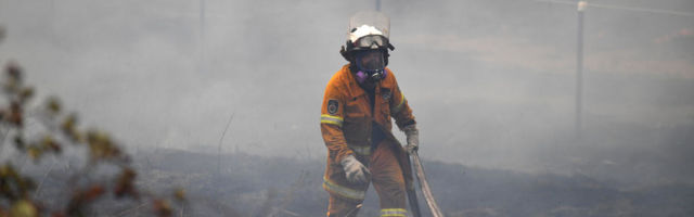 U prošlogodišnjim požarima u Australiji stradalo skoro tri milijarde životinja