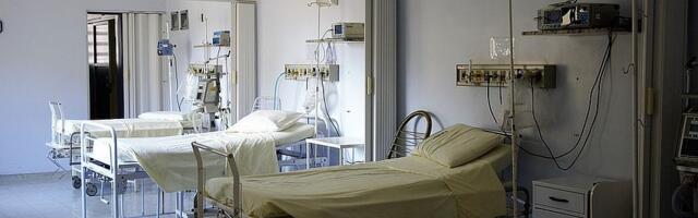 U Srbiji godinama nije registrovan nijedan slučaj lepre