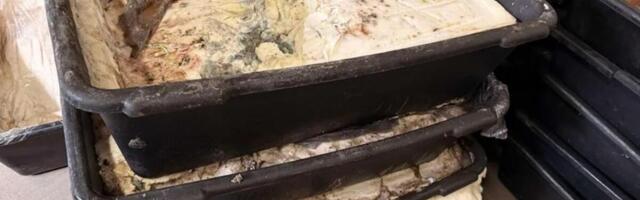 17 ljudi jelo zaraženo meso, veterninar nije imao sertifikate! Poznati novi detalji širenja trihineloze u Pančevu