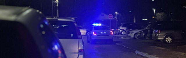 10 MINUTA GUŠIO ŽENU, UDARAO JE PESNICAMA, VREĐAO JE, POBACAO JOJ STVARI: Strašni detalji zlostavljanja na Zvezdari