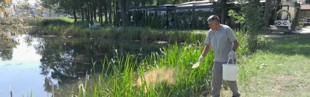 Suzbijanje LARVI KOMARACA širom Kragujevca