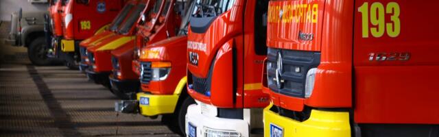 Životinju sekunde delile od kobnog kraja: Spasioci morali da RAZBIJAJU BETON