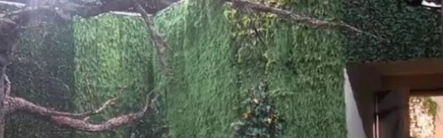 SKANDAL U ZADRUZI - ULJEZ UPAO NA IMANJE, PA JE ŠČEPAO ZA GLAVU! Obezbeđenje reagovalo /VIDEO/