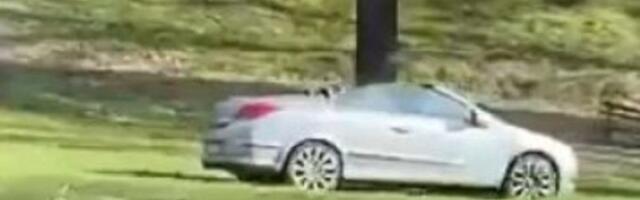 Slika i prilika bahate vožnje na Košutnjaku (VIDEO)