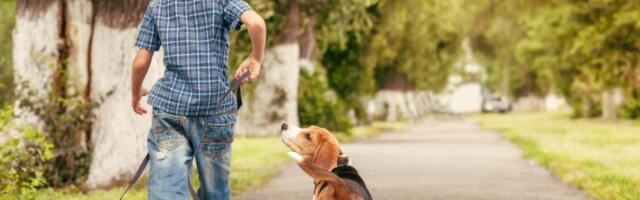 Srpska imena davana najtužnijim povodom