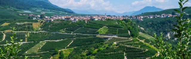 Maštate o životu u Italiji? Ovaj region nudi odličnu finansijsku pomoć za kupovinu i renoviranje kuća