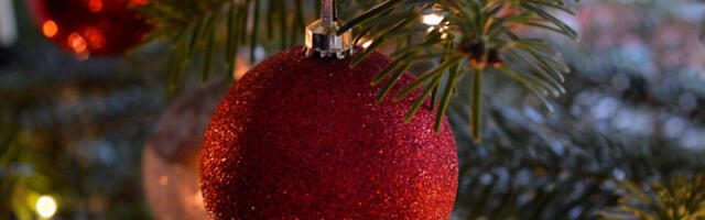 Главна новогодишња јелка посечена у Подмосковљу, висока 26 метара