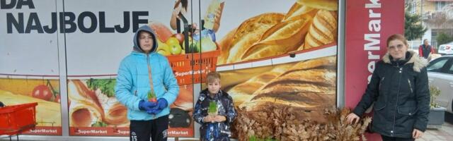 Majka sa sinovima prodaje badnjake: Teška sudbina porodice iz Gadžinog Hana