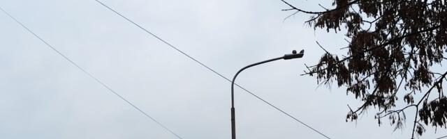 Sedam ulica sutra u Leskovcu bez struje