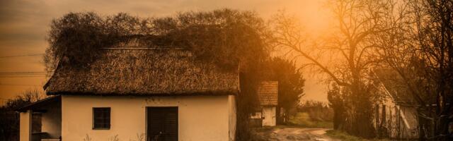 Tri brata su letos spasila kuću od požara: Žive s majkom na brdu iznad Prokuplja, do škole pešače kilometrima