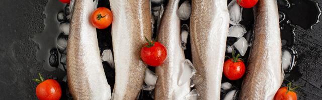 Da li znate zašto oslić nikada ne vidimo sa glavom u prodavnici: Šta se krije iza toga