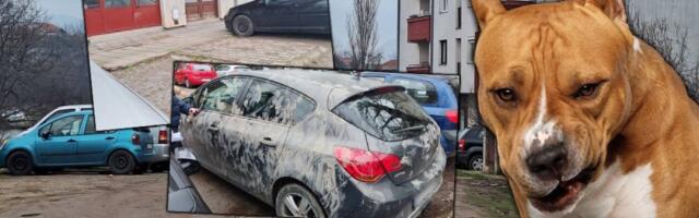 Jezivi detalji horora u Nišu: Staford krvnički kidao mladića (FOTO)