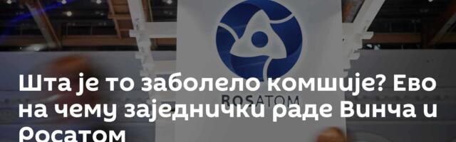 Шта је то заболело комшије? Ево на чему заједнички раде Винча и Росатом