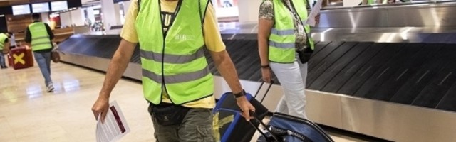 Čovek pokušao da prošvercuje 74 živa kameleona u koferu VREDNOSTI 36.000 evra! (FOTO)