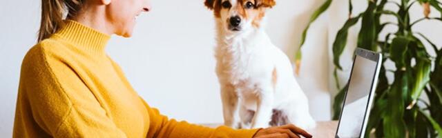 Greška koju verovatno pravite ako radite od kuće, a imate psa