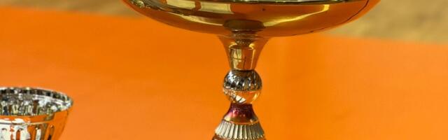 Sportski susret uposlenika IZ: Sandžaklije žele sačuvati amanet rahmetli muftije Zukorlića