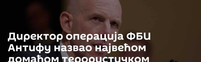 Директор операција ФБИ Антифу назвао највећом домаћом терористичком претњом