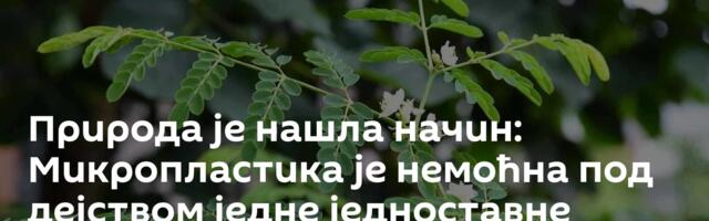 Природа је нашла начин: Микропластика је немоћна под дејством једне једноставне биљке