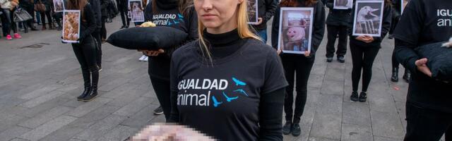 Animal Save Movement u Madridu: Eksplicitni snimci EKSPLOATACIJE ŽIVOTINJA izazvali gađenje i suze kod građana