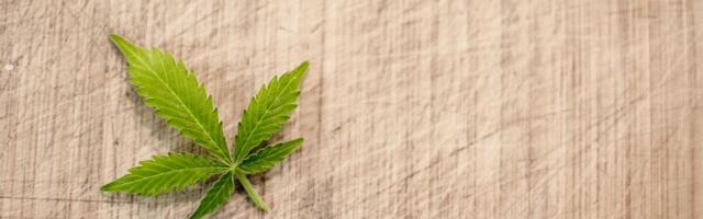 Pritvorene dve osobe u Severnoj Makedoniji zbog povezanosti sa zaplenom pet tona marihuane u Srbiji