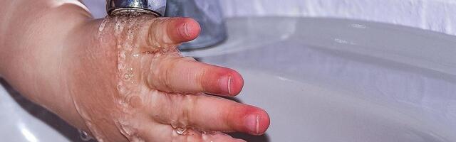 Deo Sremske Kamenice u ponedeljak bez vode