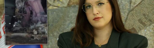 "MLADUNCI BELE ČIOPE SU U SIGURNIM RUKAMA STRUČNJAKA" Ministarka Sara Pavkov: U toku je  zbrinjavanje i hranjenje, hvala svim dobronamernim građanima (VIDEO)