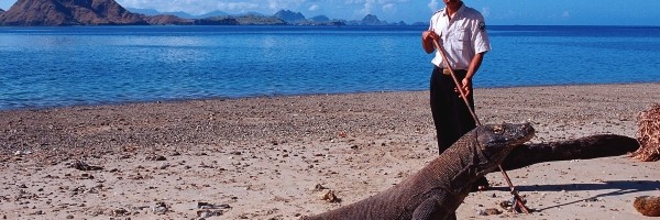 Uprkos upozorenjima Indonezija nastavlja razvoj parka sa komodo zmajevima