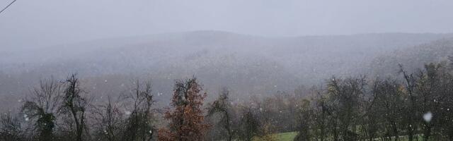 Gladne šumske zveri zabrinule meštane Peštera: Ovakav prizor nije čest, sve češće se približavaju naseljima