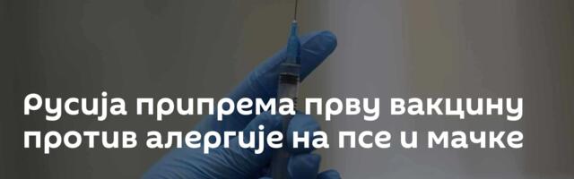 Русија припрема прву вакцину против алергије на псе и мачке