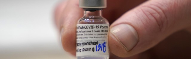Fajzer testira vakcinu za decu mlađu od 12 godina
