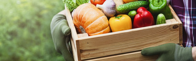 Ekonomska mitologija Bosne i Hercegovine