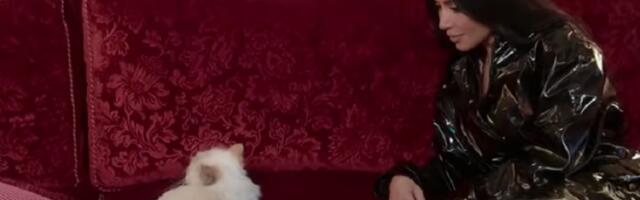 Šta se desilo sa mačkom koja je nasledila milione Lagerfelda