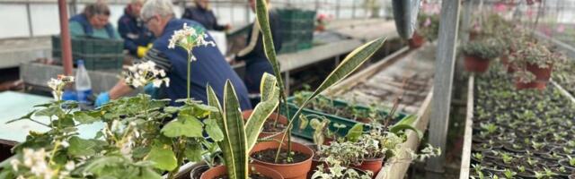 Nećete prepoznati ovaj grad: Oni su zaslužni za to