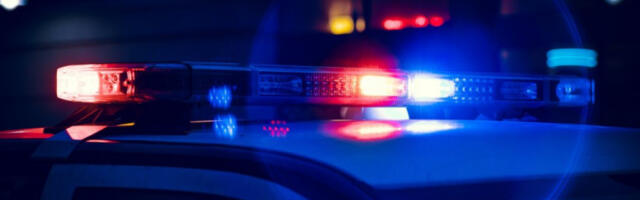 PUCNJAVA NA TINEJDŽERSKOJ ZABAVI: Rođendanska proslava se pretvorila u horor - povređeno devet osoba! (VIDEO)