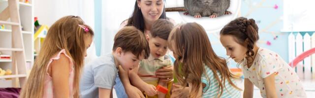 Kako funkcioniše upis dece u vrtiće 2024: Sve što treba da znate o novinama i olakšicama za roditelje