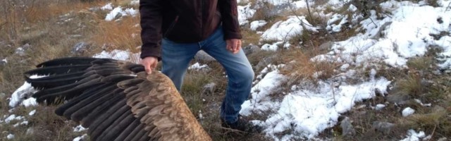 Članovi udruženja žele da motivišu građane da očuvaju prirodu i lepotu Prijepolja