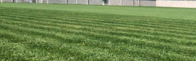 JEDAN GOL VREDAN TRI BODA: OFK je stigao do zlata vredne pobede! (VIDEO)