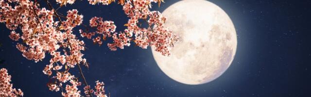 Mesec je u Strelcu! 3 znaka će doživeti ludu životnu avanturu