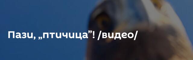Пази, „птичица”! /видео/
