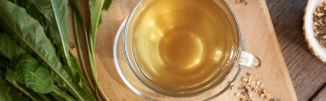 Biljka koja raste svuda i svi je gazimo, a telo je traži: Čisti jetru i pokreće organizam iznutra