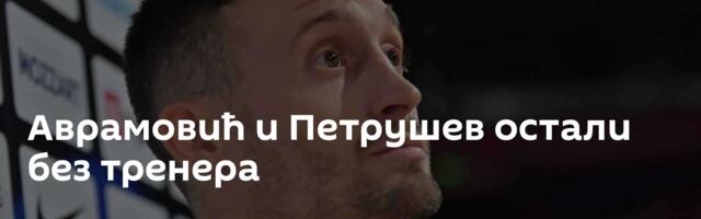 Аврамовић и Петрушев остали без тренера