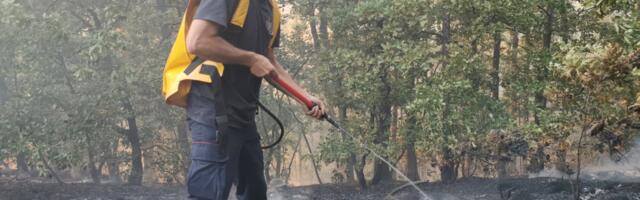 Kazne za paljenje vatre na otvorenom i do 1.000.000 dinara: Evo šta sve zabranjuje novi zakon