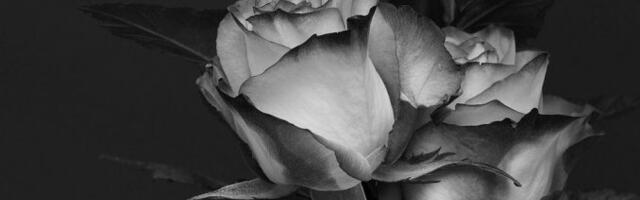 Preminula Mirjana Maskareli, dugogodišnja profesorka latinskog jezika u Petoj beogradskoj gimnaziji