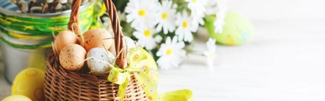 Stigao je Uskrs: Napunite kuću cvećem i radujte se!