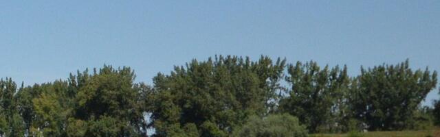 Proglašena vanredna situacija u Vranju zbog izlivanja reka