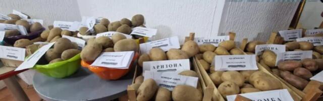 Dani krompira i lokalnih običaja