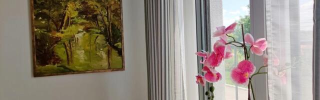 Kako da sobno cveće izgleda zdravo